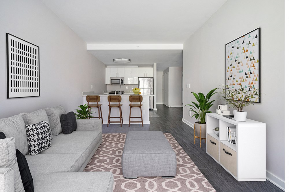 a living room with a gray couch and a rug at 34 Berry, Brooklyn, 11249